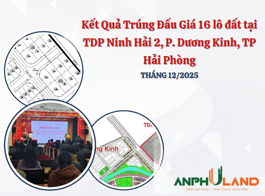 Kết quả trúng đấu giá 16 lô đất tại TDP Ninh Hải 2, phường Dương Kinh, TP Hải Phòng tháng 12 năm 2025
